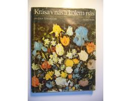 Dušan Šindelář: KRÁSA V NÁS A KOLEM NÁS (1981)