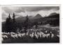 VYSOKÉ TATRY VLP VLAKOVÁ POŠTA KOŠICE-BOHUMÍN 1937