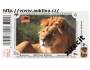 Turistická vizitka No. 819-2 - ZOO Dvůr Králové nad Labem