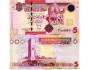 LIBYA 5 Dinars ND(2009) P-72 aUNC/UNC