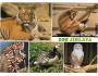JIHLAVA ZOO PRESSFOTO
