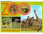 ZOO Dvůr Králové tygr vlk jeřáb plameňák žirafa ***4729