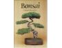 Kniha Bonsai