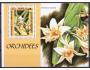 G8-Kambodža-orchidee-blok 257 **