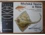 Mořská fauna a flora (edice OKO 57)