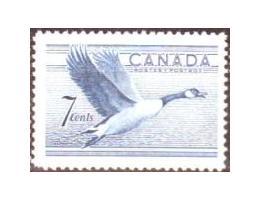 Kanada 1952  Kanadská husa, Michel č.274 **