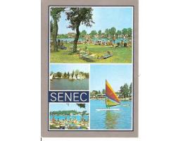SENEC  / SLOVENSKO/rok1960-80 *WF203