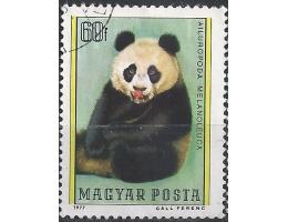 Maďarsko o Mi.3244 Fauna - panda velká