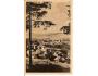SUŠICE / ŠUMAVA /r.1949?*kb451