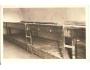 TEREZÍN - LŮŽKA VĚZŇŮ /r.1947?*CG90