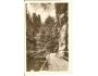 ČESKÉ ŠVÝCARSKO - DĚČÍN /r.1950?*CG94