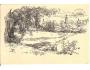 NAPAJEDLA / mal.WELLNER /r.1930?*CI203