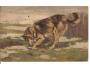 PES /r.1916?*CF126