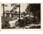 UHERSKÉ HRADIŠTĚ /r.1936?*CF133