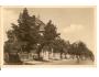 RADOŠOVICE - BENEŠOV /r.1950?*kb651