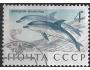 SSSR o Mi.3913 Mořská fauna