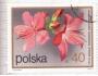Polsko o Mi.2214-15 Květy keřů 2x