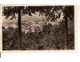 BARDEJOV / SLOVENSKO /rok1930*AE1498