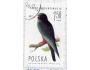 Polsko o Mi.2357 Fauna - ptáci - sokol