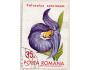 Rumunsko o Mi.2941 Flora - květiny botanických zahrad