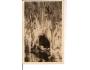 DEMANOVSKÁ JESKYNĚ /rok1949?*A=1630