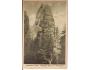 ADRŠPACH SKÁLY /rok1925?*A=1779