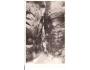 ADRŠPACH SKÁLY /rok1948?*A=1785