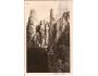 ADRŠPACH SKÁLY /rok1930?*A=1789
