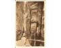 ADRŠPACH SKÁLY /rok1947?*A=1822