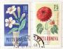 Rumunsko o Mi.2268,2272 Flora - květiny