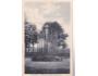 LITOMYŠL RŮŽOVÝ PALOUČEK FALTYS cca r. 1930 ***53962P
