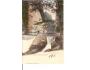 HŘENSKO =EDMUNDOVA SOUTĚSKA / DĚČÍN /rok1900?*kb1997