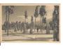 ŽALY + LYŽAŘ/ KRKONOŠE/foto PROCHÁZKA /rok1922?*kc1844