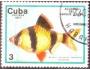 Kuba 1977 Akvarijní ryba, Michel č.2203 raz.