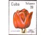 Kuba 1982 Tulipán, Michel č.2646 raz.