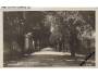 SUŠICE=VOLŠOVSKÁ ULICE = ŠUMAVA /rok1926?*BE3409