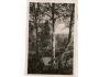 Zlín foto od lavičky u lesa r.1943,prošlá L3/124
