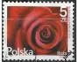Polsko o r.2015 Flóra - růže