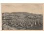 BEREHOVO VINICE=PODKARPATSKÁ RUS /rok1925?*BE4528
