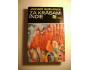 Jaromír Skřivánek: ZA KRÁSAMI INDIE (Orbis 1976)