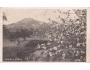 ZEBÍN U JIČÍNA cca r.1930 NAKL. VL. NOVOTNÝ °811R