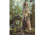 VOGELPARK WALSRODE NAKL. NSR °832G
