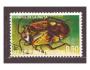 Rovníková Guinea - brouk, brouci, hmyz