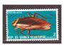 Rovníková Guinea - brouk, brouci, hmyz