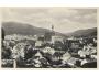 PRACHATICE /r.1950 /M313-308