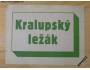 (131) Kralupy nad Vltavou