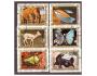 Rovníková Guinea - slon, motýl, brouk, hmyz
