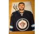 Ondřej Pavelec -  Winnipeg Jets - orig. autogram