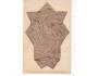 BRNO=PLAKETA SOKOL=rok1930*R3612