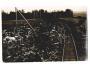 Železniční neštěstí Popovice u Uh.Hradiště r.1909 SV9/90
